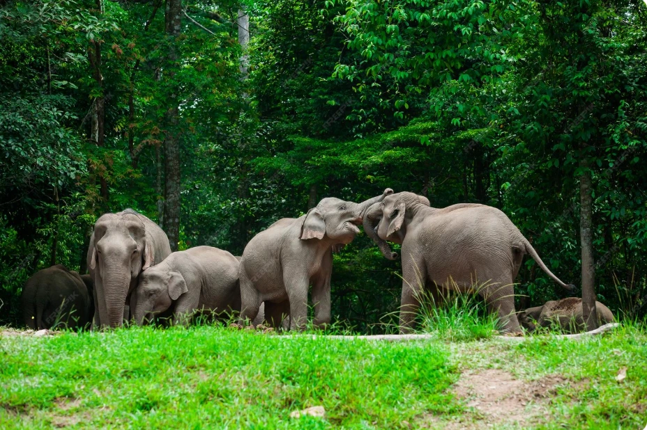 Wilderness & Wildlife Safari - Sri Lanka September 12 – 18, 2026 luxury group trip